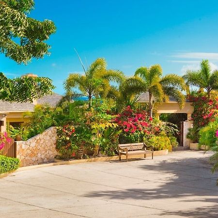 Anguilla'S Bird Of Paradise The Valley Exterior photo