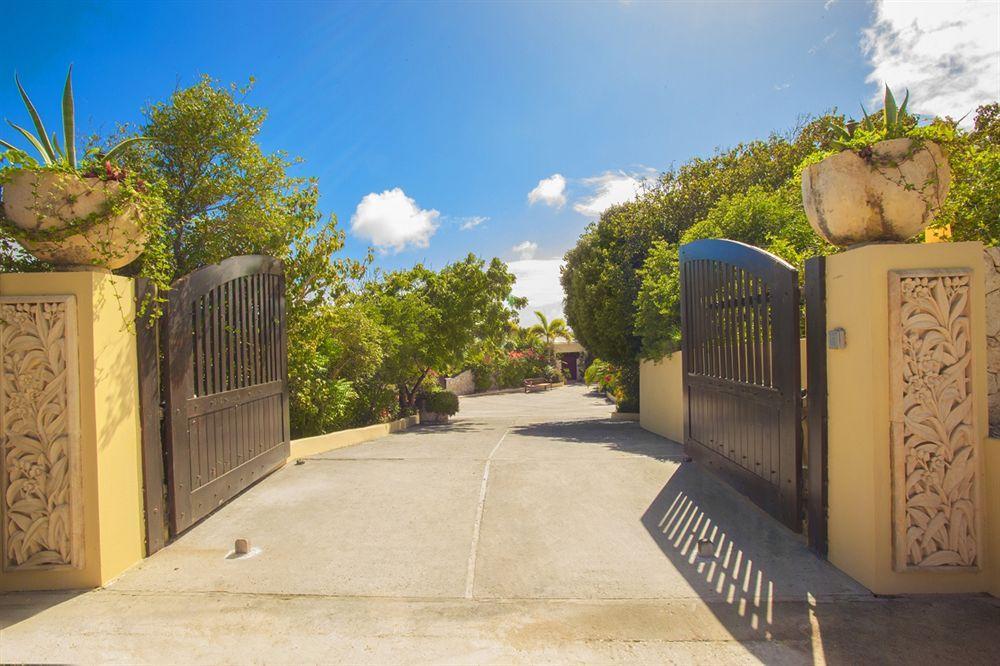 Anguilla'S Bird Of Paradise The Valley Exterior photo