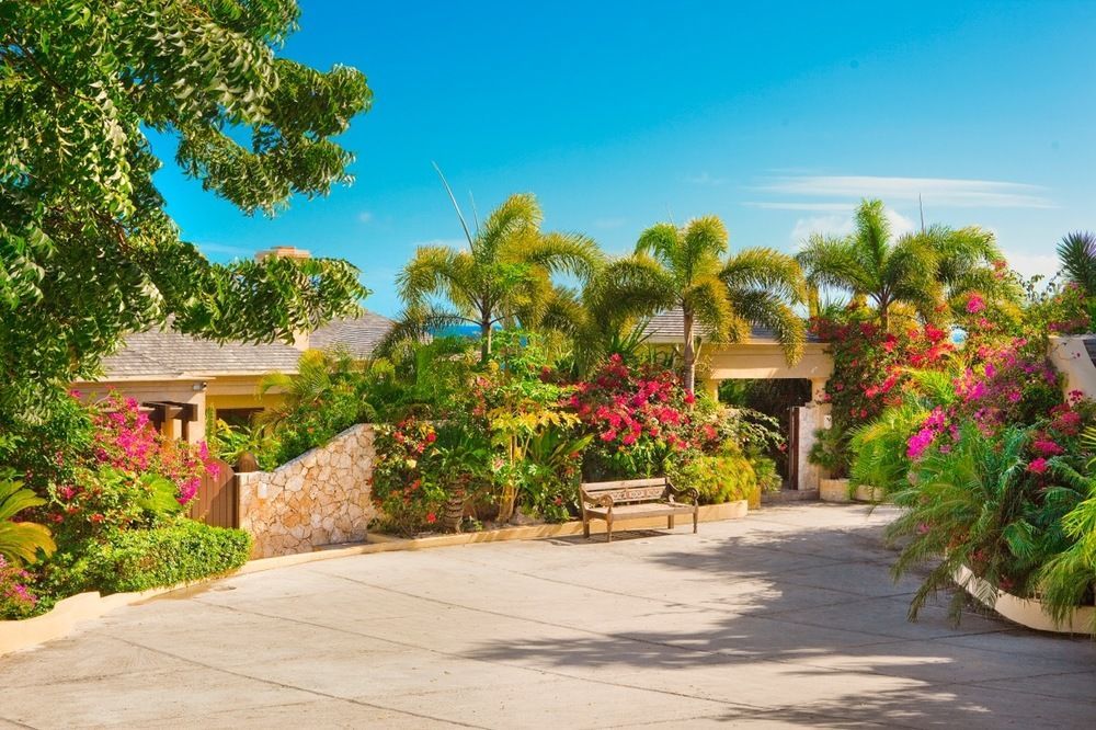 Anguilla'S Bird Of Paradise The Valley Exterior photo