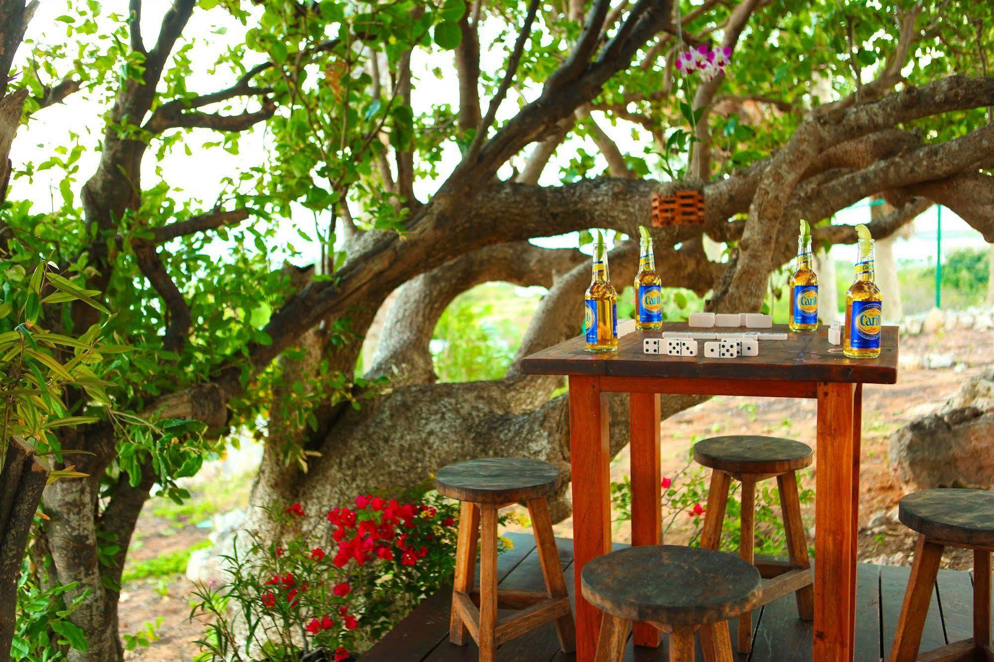 Anguilla'S Bird Of Paradise The Valley Exterior photo
